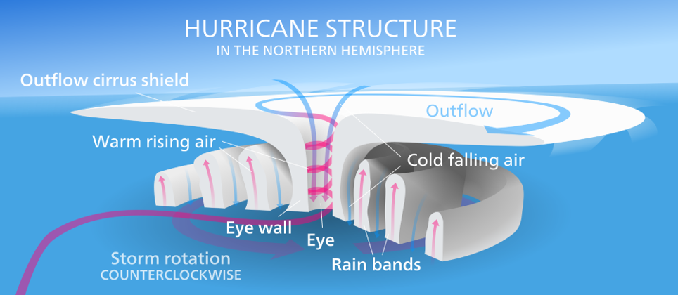 Structure of Tropical Cyclone